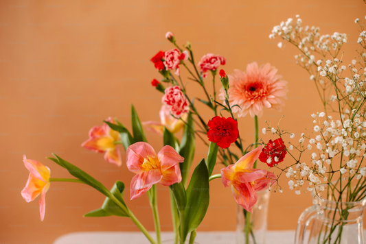 Popular Flowers Meanings and What They Symbolize: The Language of Flowers