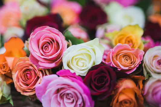 A Guide to the Meaning Behind the Number of Roses in Red Rose Bouquets