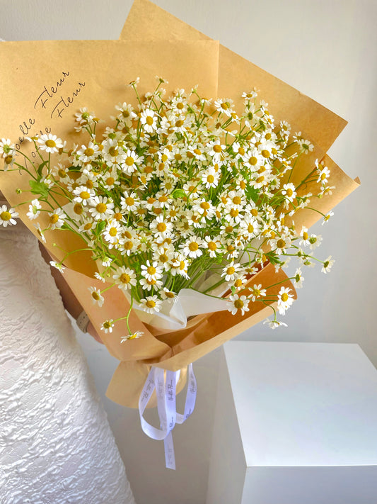 “Daisy Fields” Fresh Tanacetum Daisy Bouquet