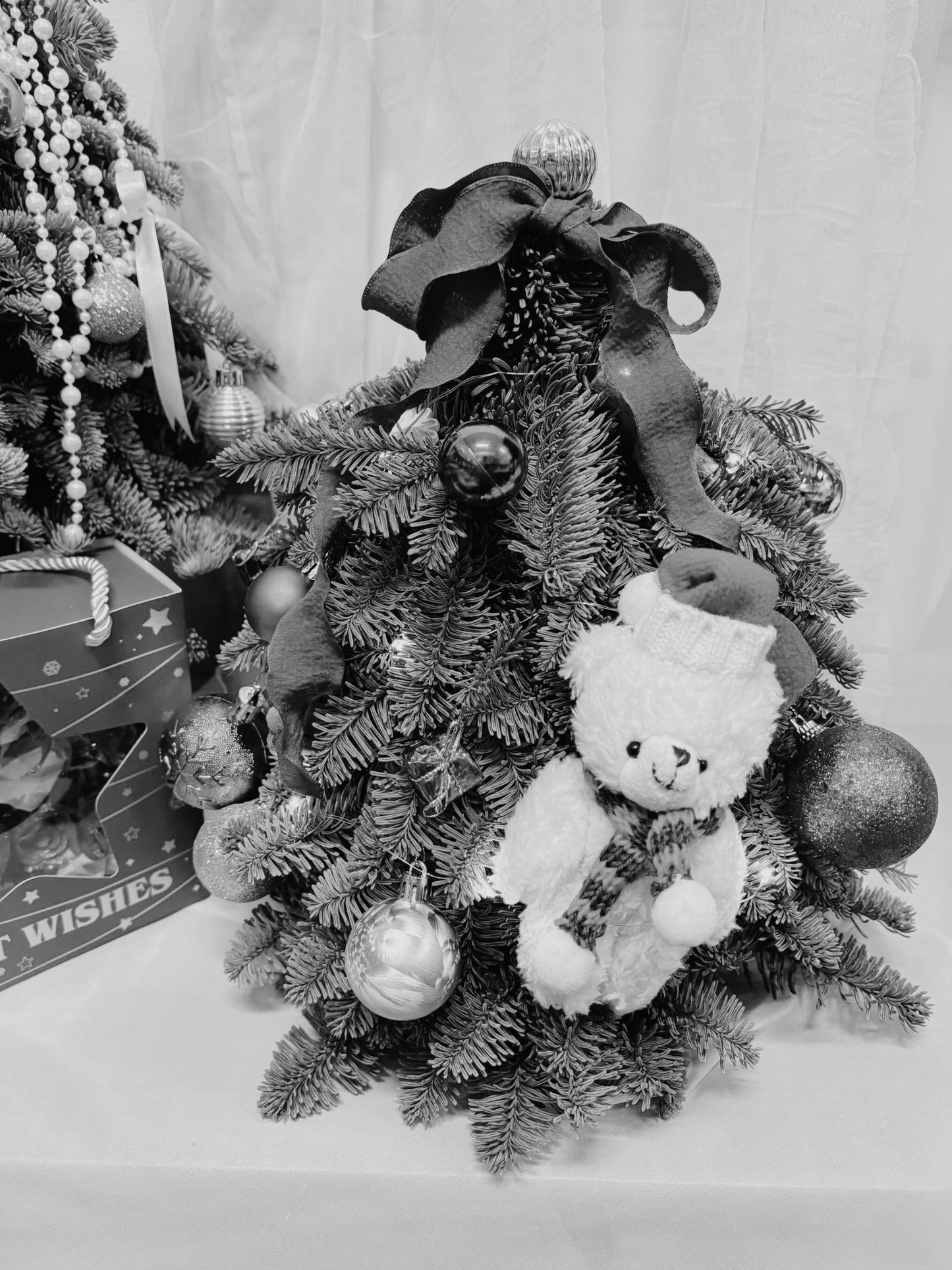 "Starlight - Teddy" Mini Christmas Tree (Fresh Fir)