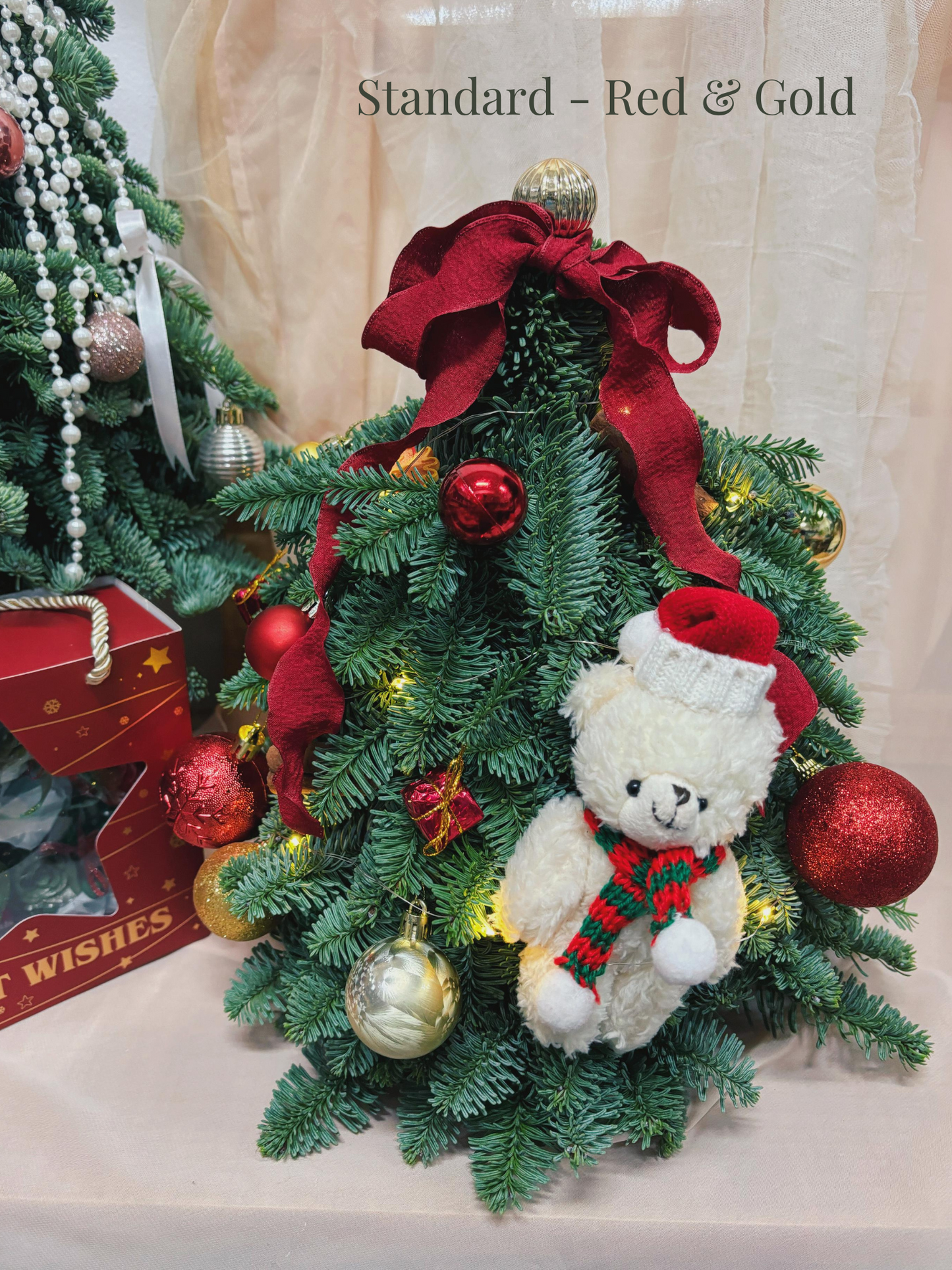 "Starlight - Teddy" Mini Christmas Tree (Fresh Fir)