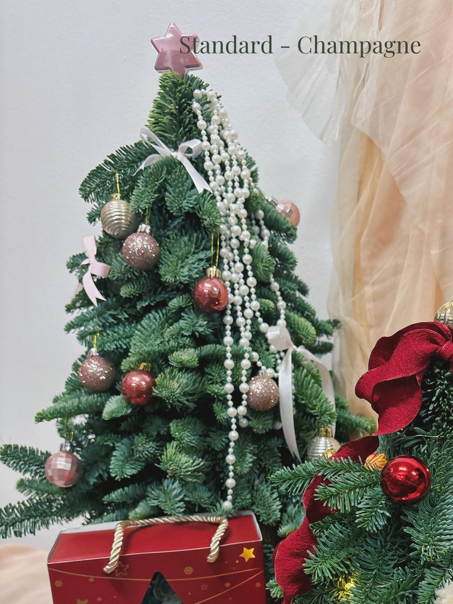 "Starlight - Pearl" Mini Christmas Tree (Fresh Fir)