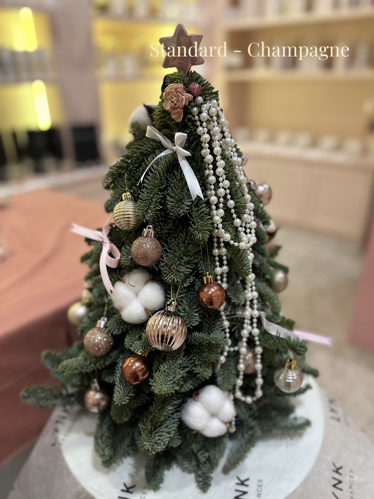 "Starlight - Pearl" Mini Christmas Tree (Fresh Fir)