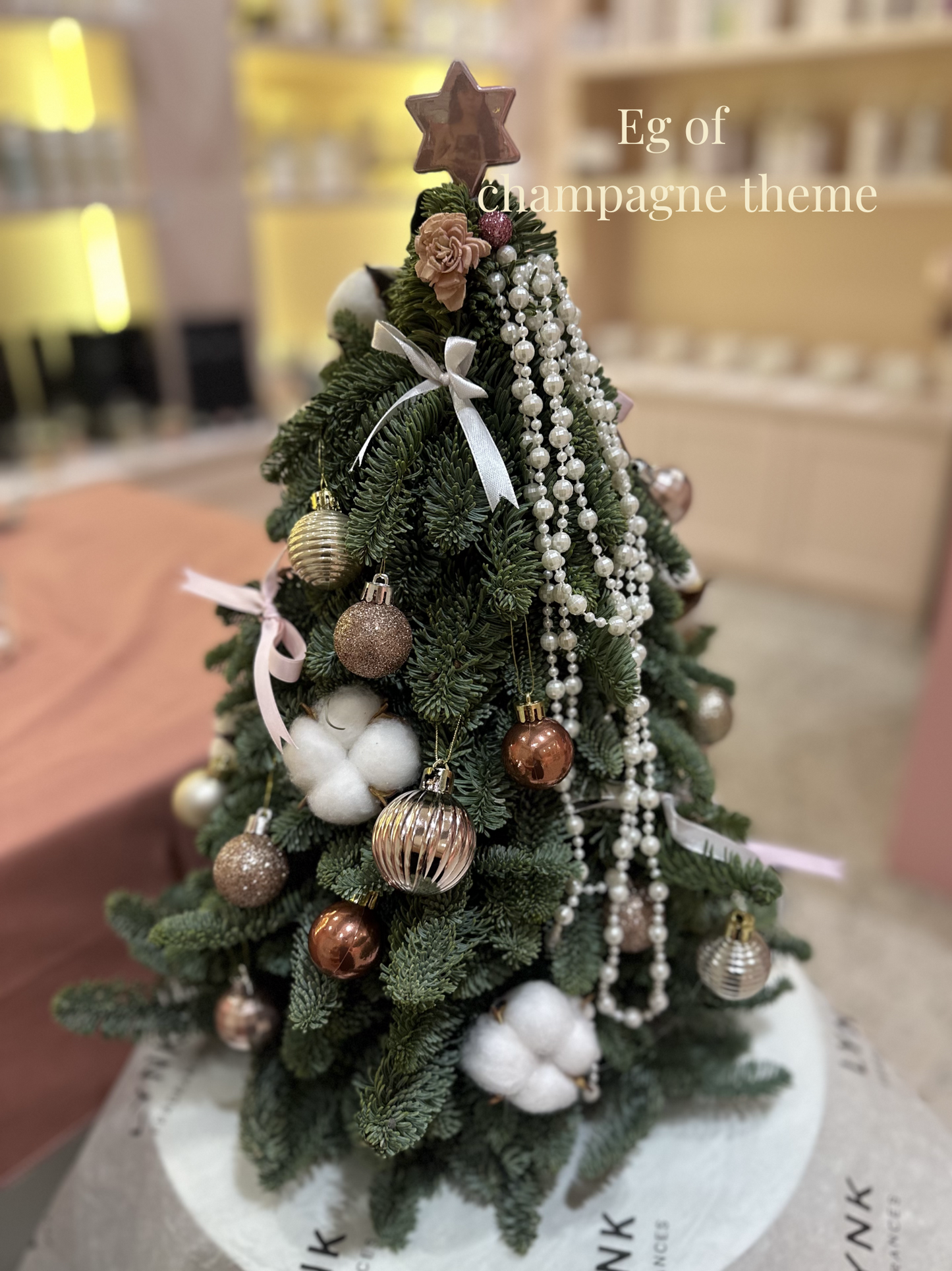 "Starlight - Rustic" Mini Christmas Tree (Fresh Fir)