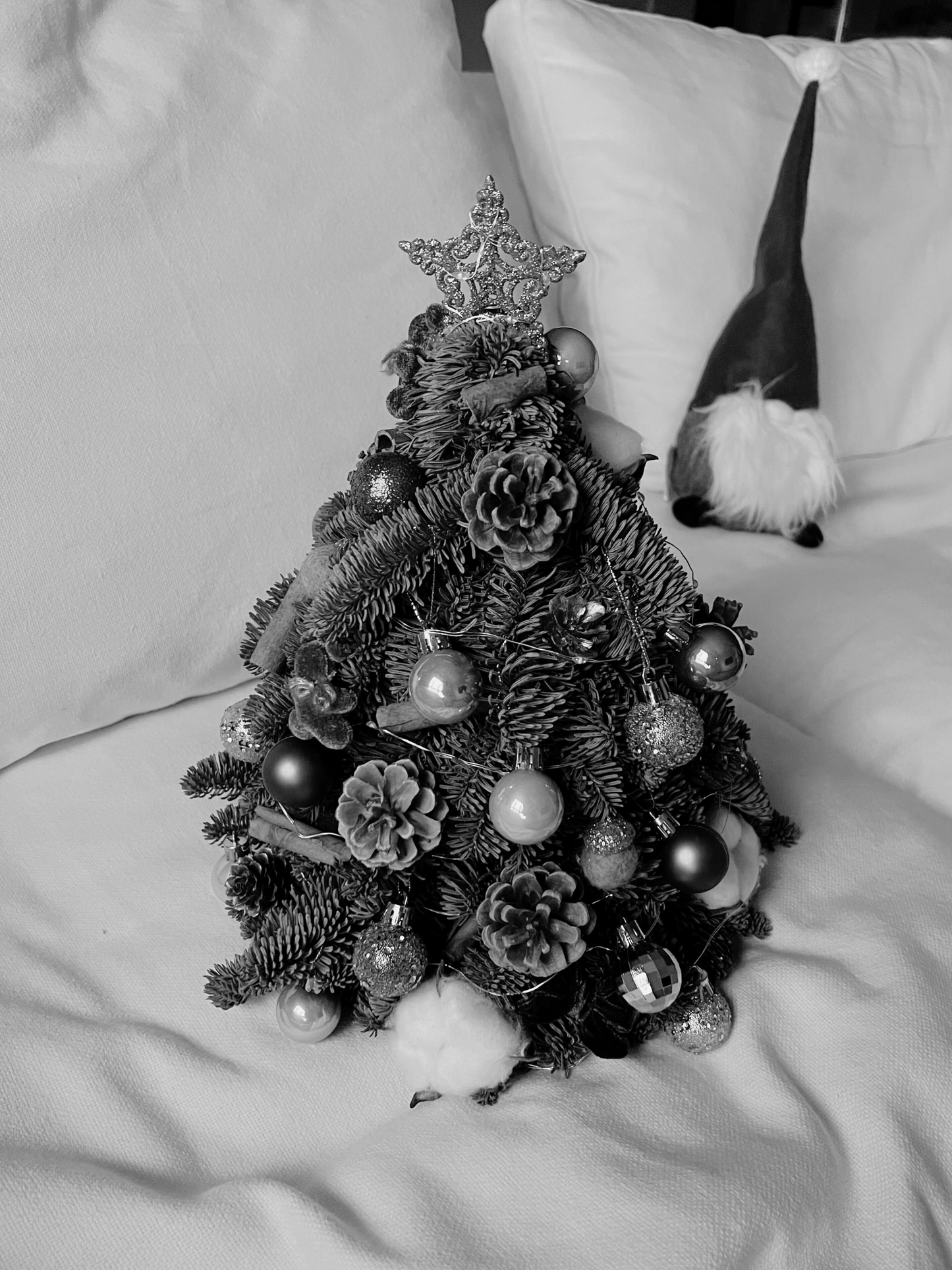 "Starlight - Rustic" Mini Christmas Tree (Fresh Fir)