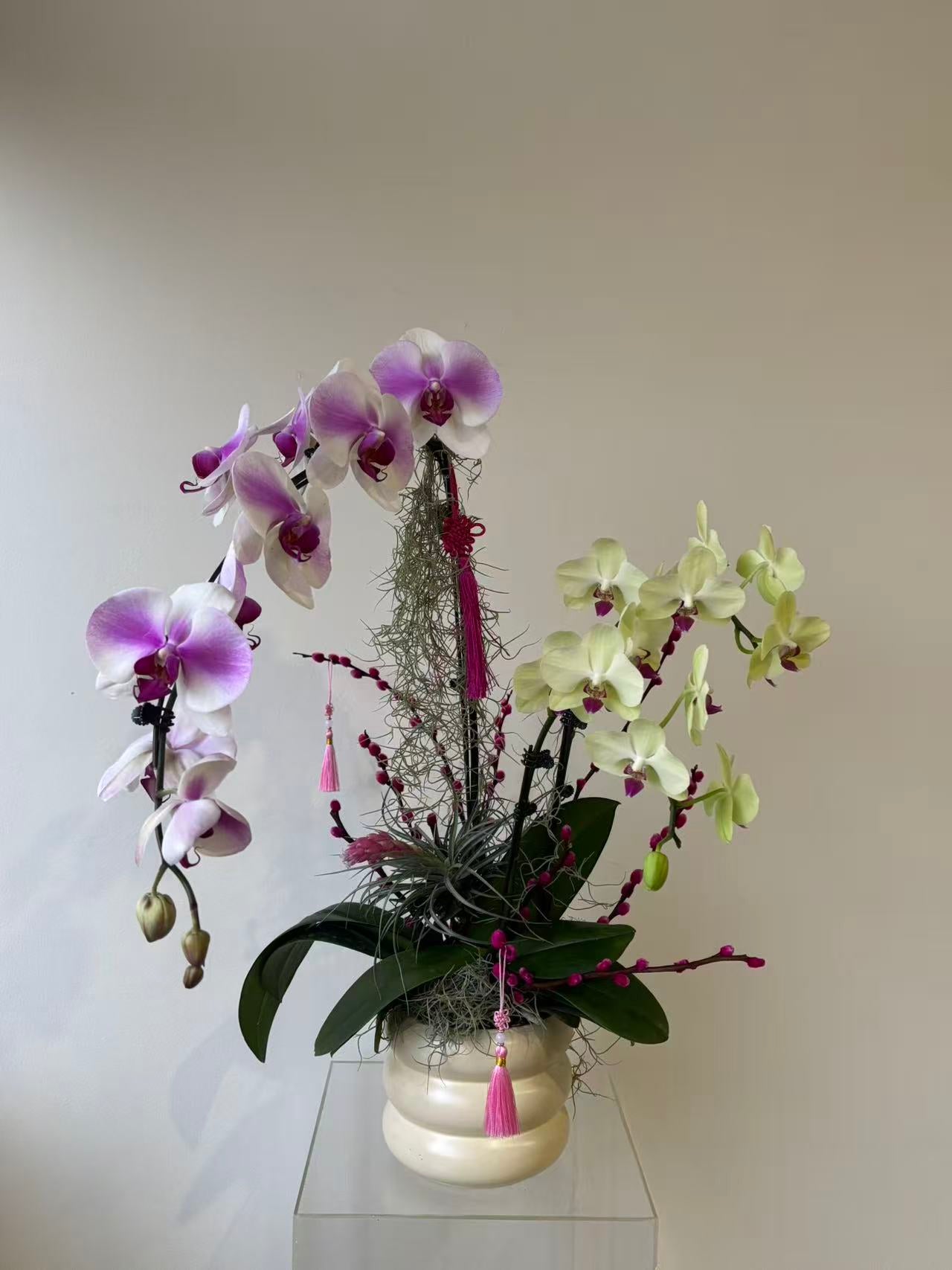 CNY "Radiant Abundance" Orchid Vase