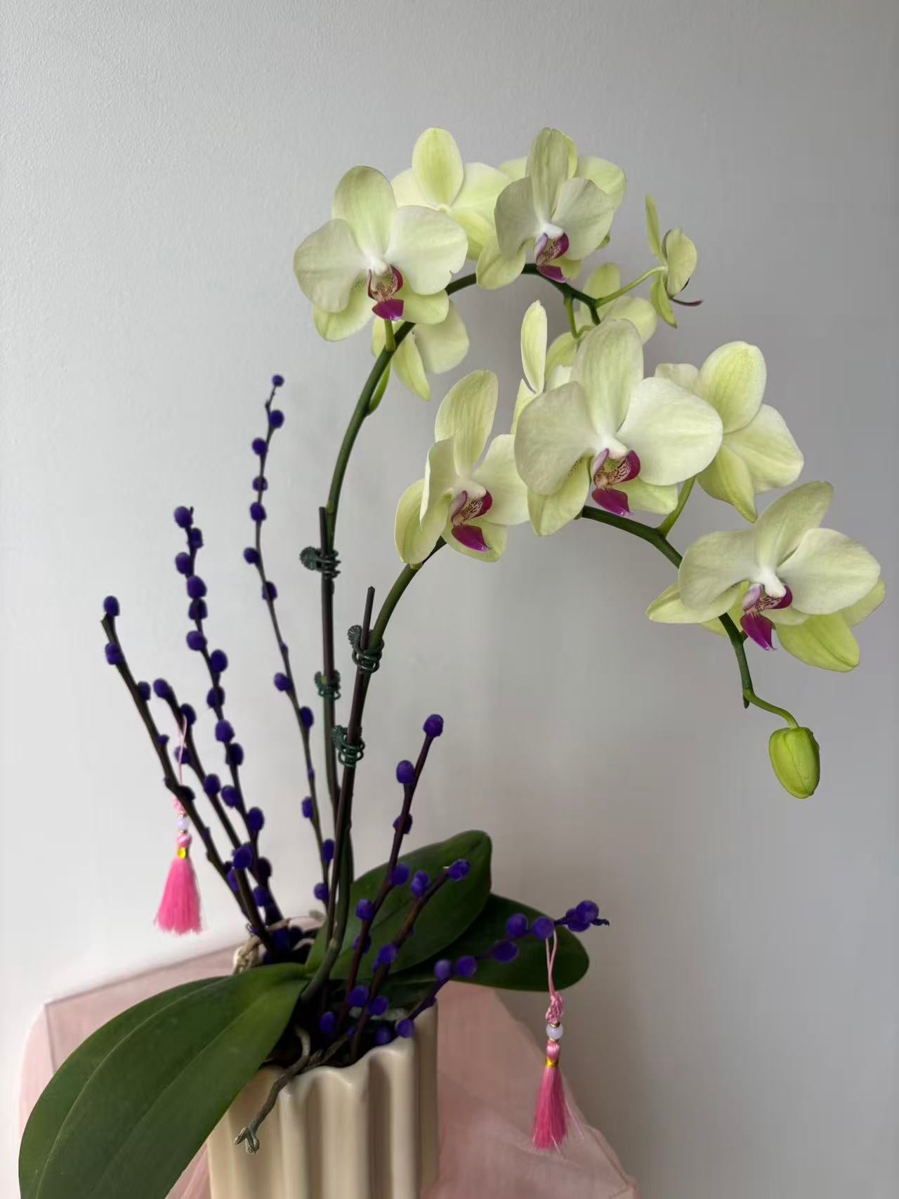 CNY "Radiant Prosperity" Orchid Vase