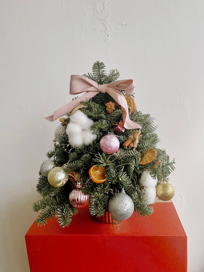 [WORKSHOP] Mini Christmas Tree/ Wreath Making Workshop