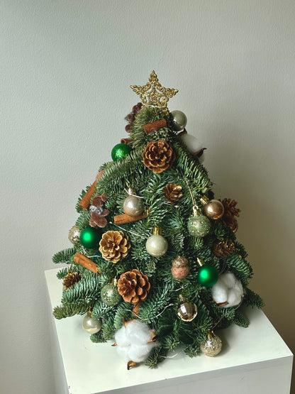 [WORKSHOP] Mini Christmas Tree/ Wreath Making Workshop