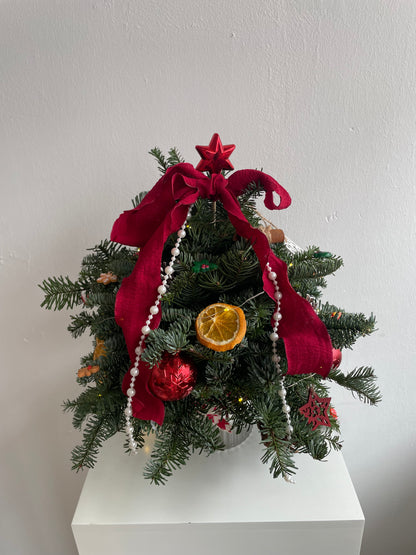 [WORKSHOP] Mini Christmas Tree/ Wreath Making Workshop