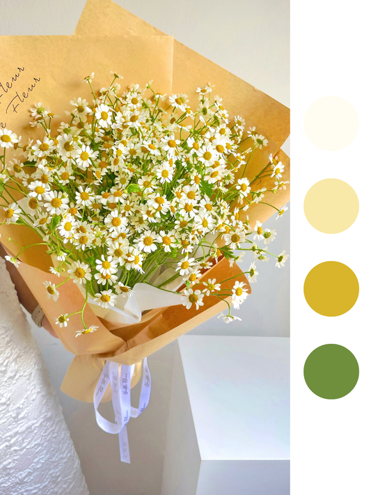 “Daisy Fields” Fresh Tanacetum Daisy Bouquet