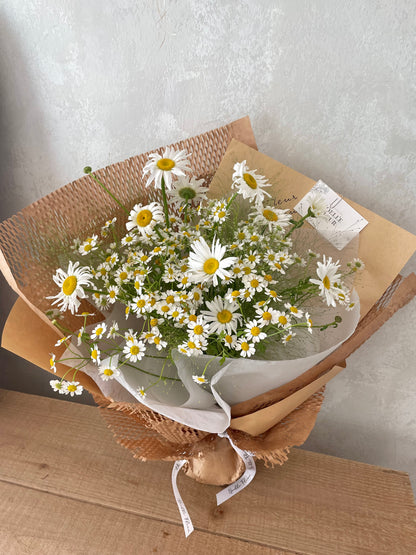 "Daisy Meadow" Fresh Tanacetum & Aster Daisy Fresh Flower Bouquet