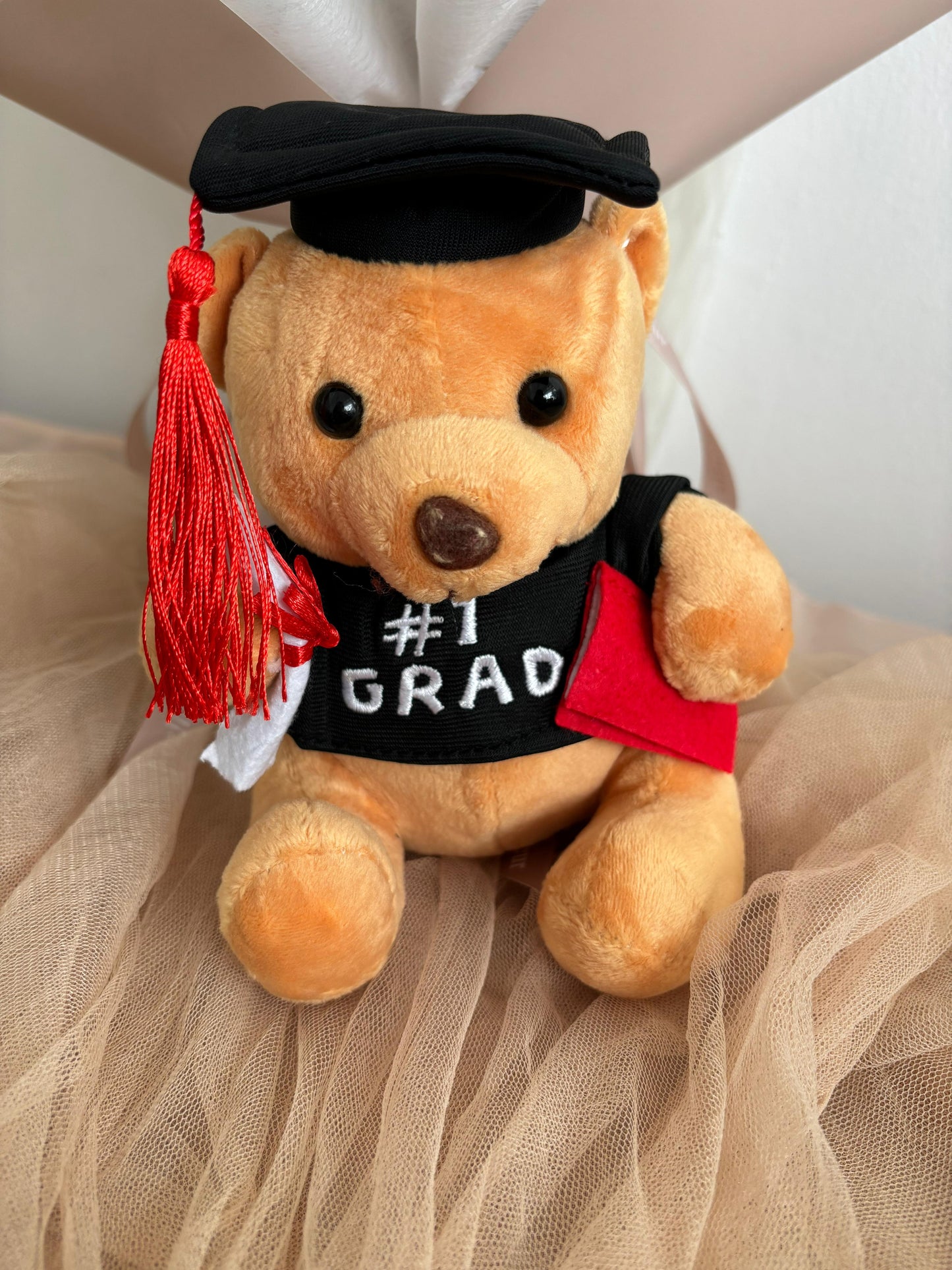 (Add on) Graduation Bear Plushie