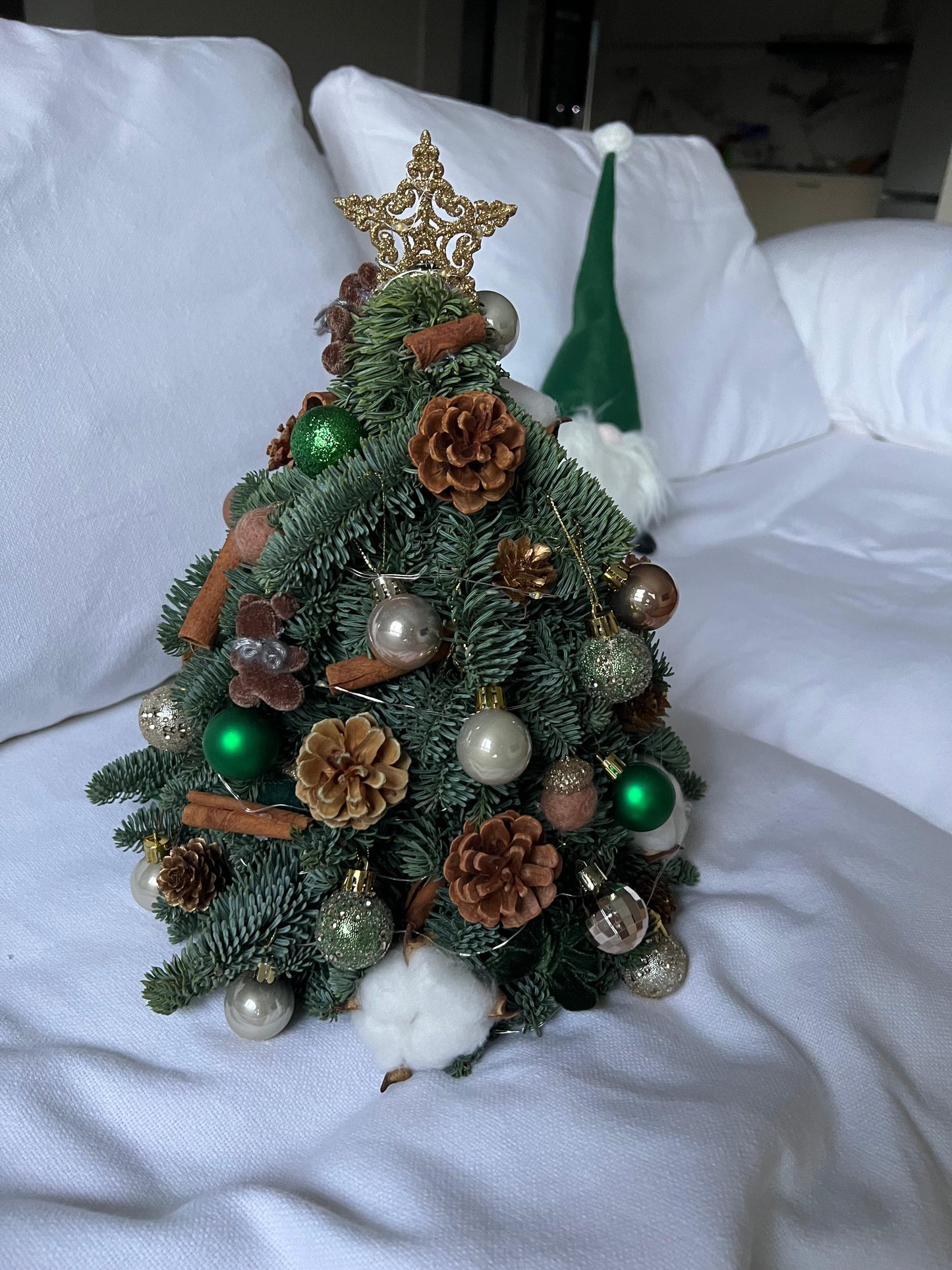 "Starlight - Rustic" Mini Christmas Tree (Fresh Fir)