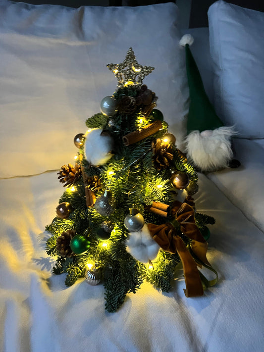 "Starlight - Rustic" Mini Christmas Tree (Fresh Fir)