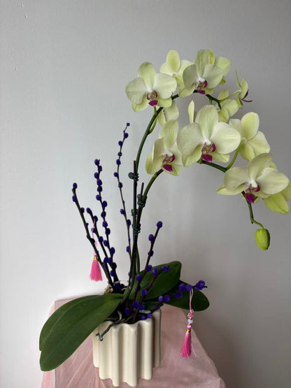 CNY "Radiant Prosperity" Orchid Vase