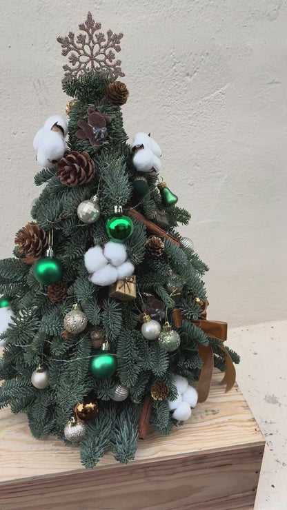 "Starlight - Rustic" Mini Christmas Tree (Fresh Fir)