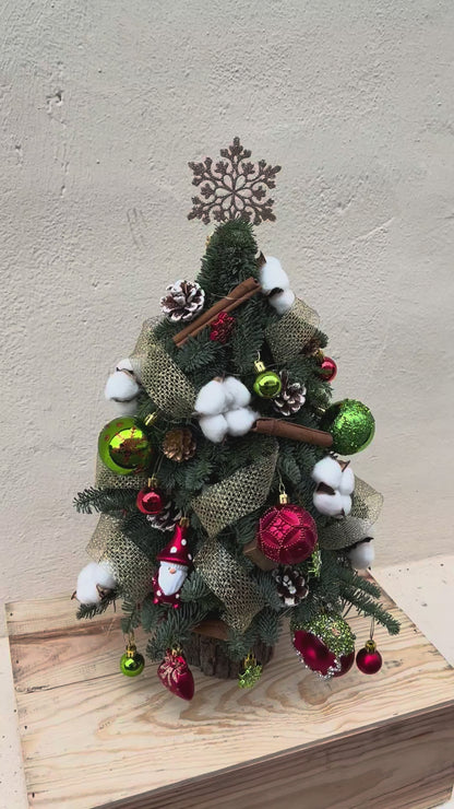 "Starlight - Gleam" Mini Christmas Tree (Fresh Fir)