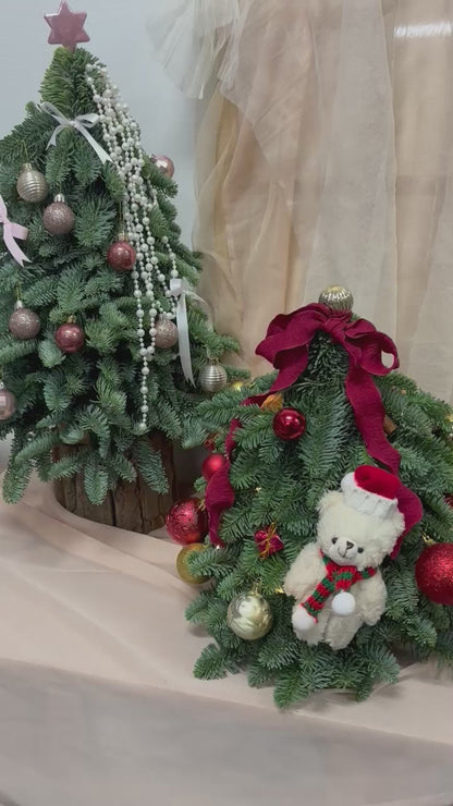 "Starlight - Teddy" Mini Christmas Tree (Fresh Fir)