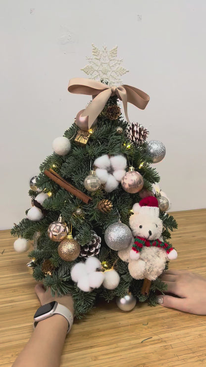 "Starlight - Teddy" Mini Christmas Tree (Fresh Fir)