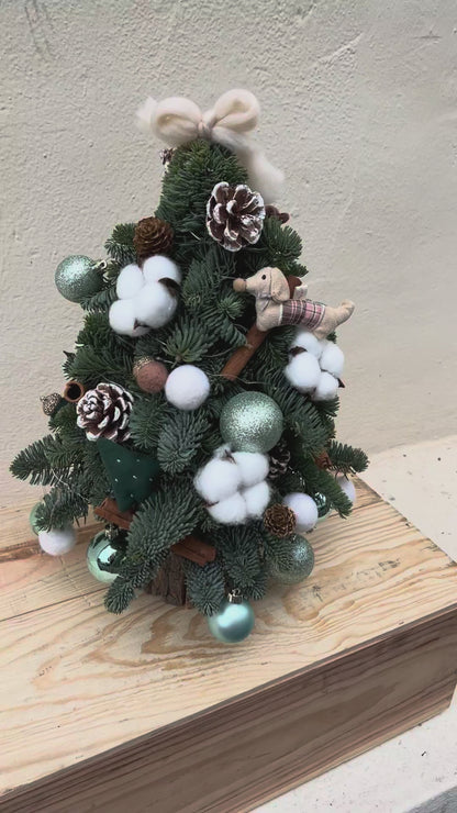 "Starlight - Mint" Mini Christmas Tree (Fresh Fir)