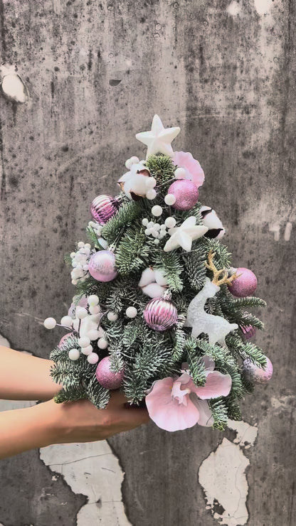 "Starlight - Frosty" Mini Christmas Tree (Fresh Fir)
