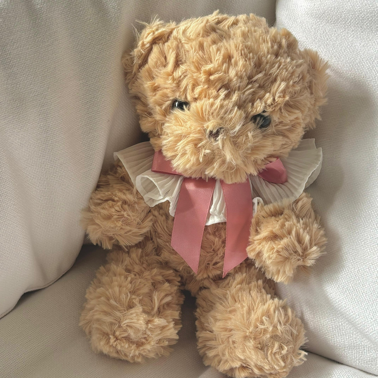 Teddy with Ribbon